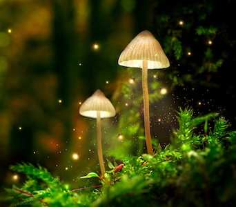 de-verdieping-banner